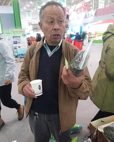 湖北绿茶厂家