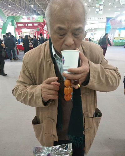 湖北绿茶厂家